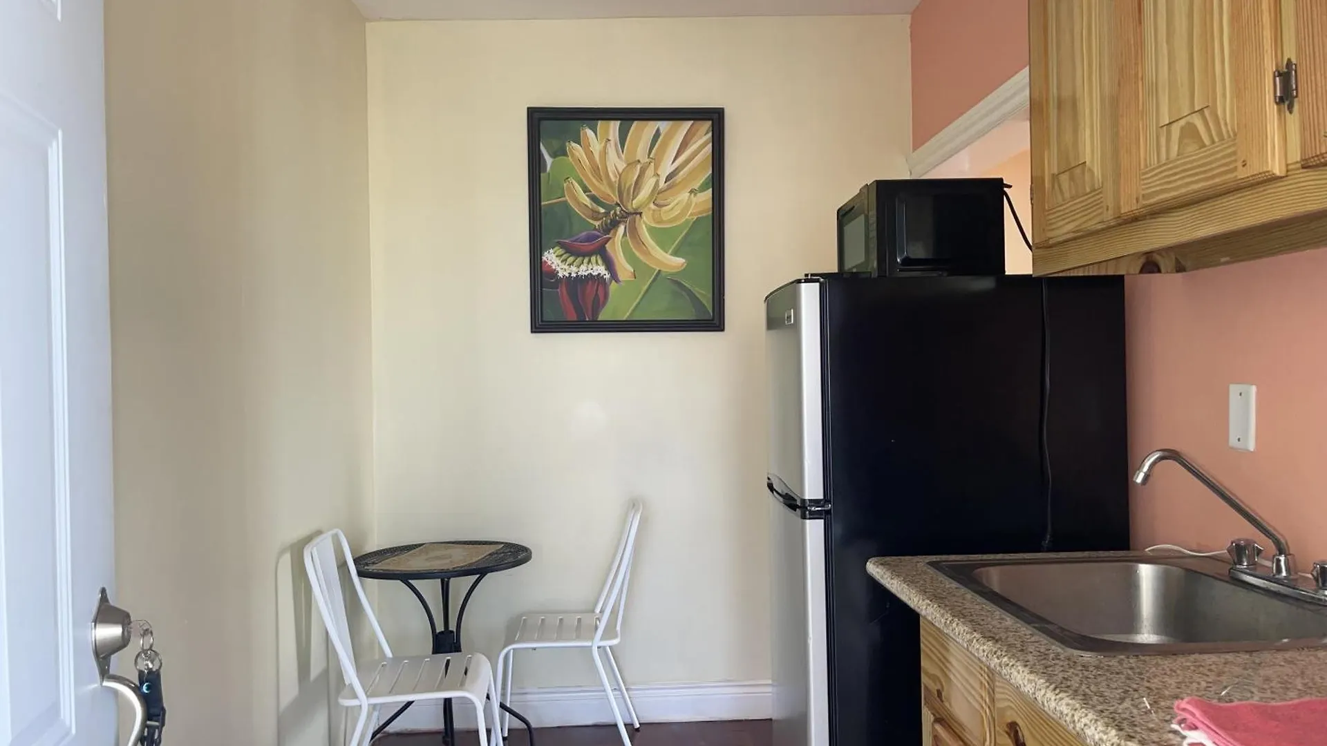 Apartment Skyline Suites, Queen, Ocean Views Condo Montego Bay Jamaica